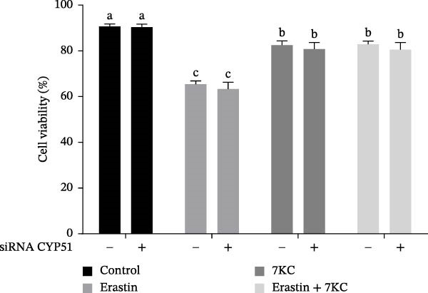 Figure 25