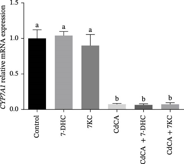 Figure 26