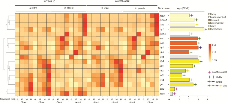 Figure 5