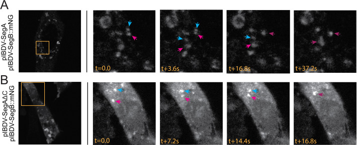 Figure 12