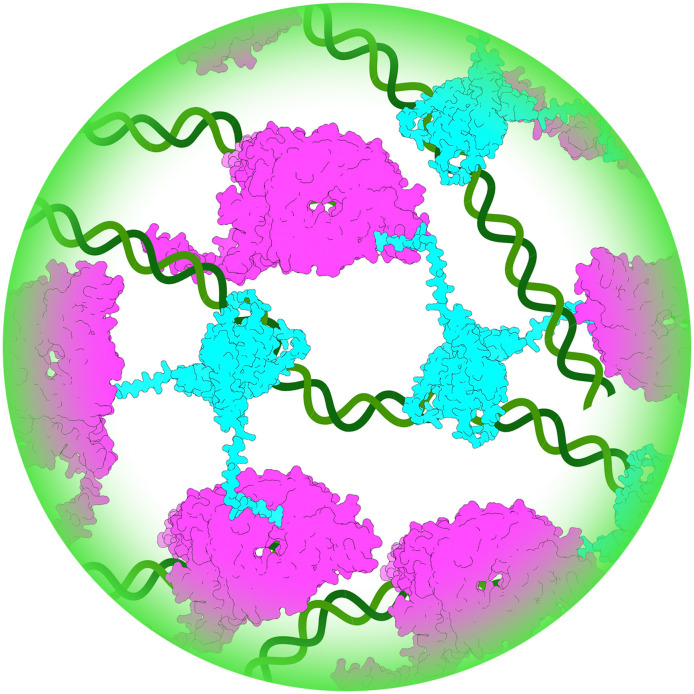 Figure 14