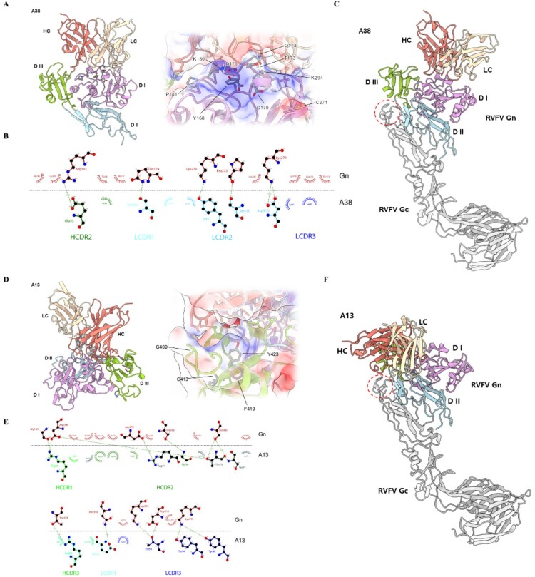 Figure 13