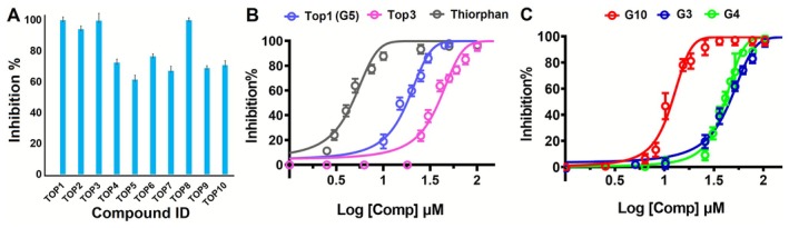 FIGURE 3