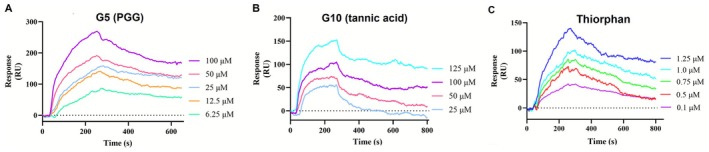 FIGURE 4