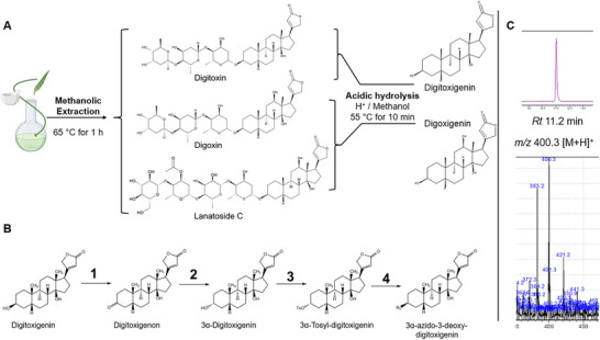 FIGURE 2