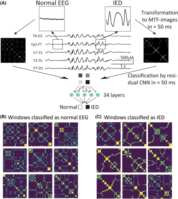 FIGURE 2