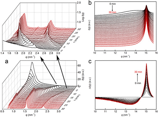 FIGURE 19