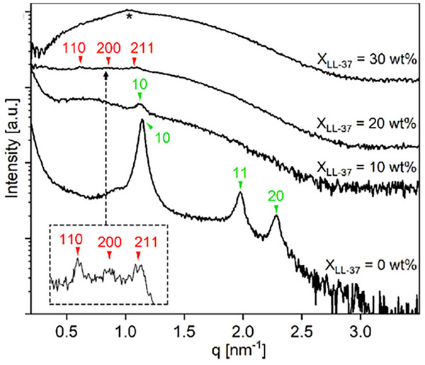 FIGURE 21