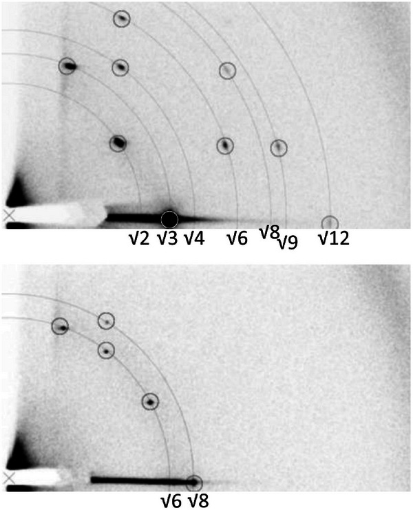 FIGURE 24
