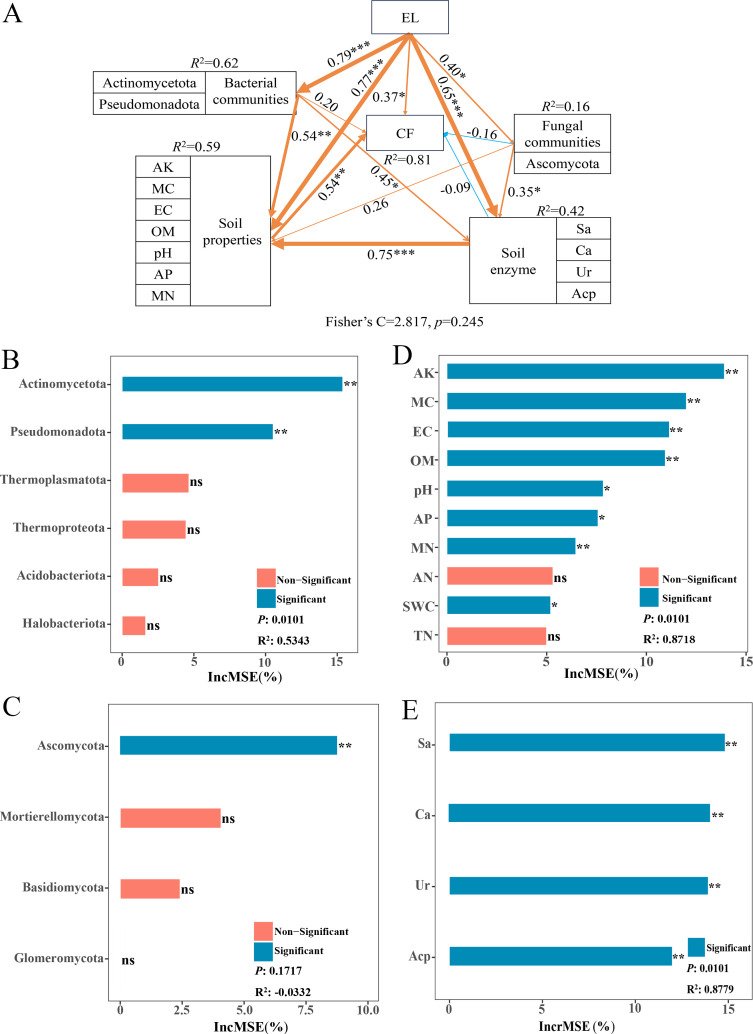 Figure 7