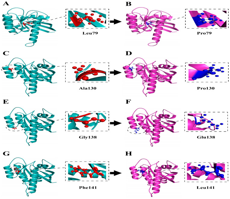 Fig 4