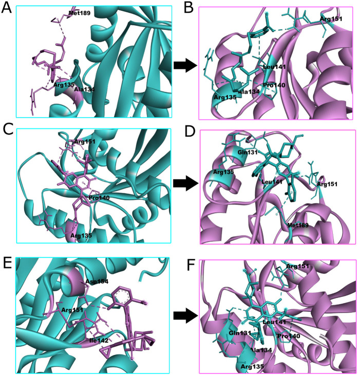 Fig 5