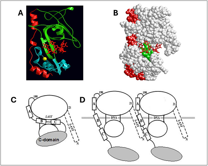 Fig 2