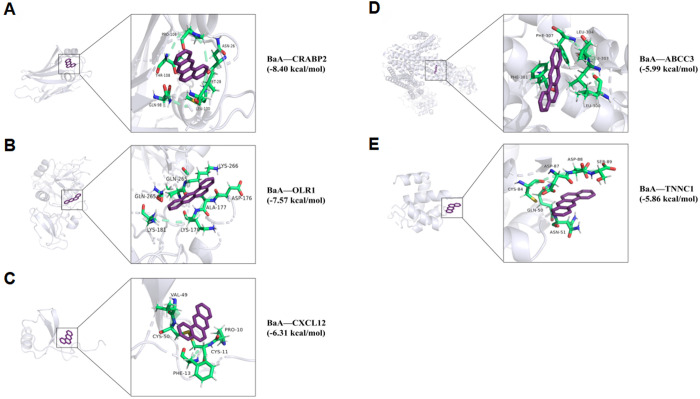 Fig 8