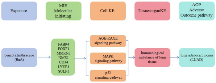Fig 10