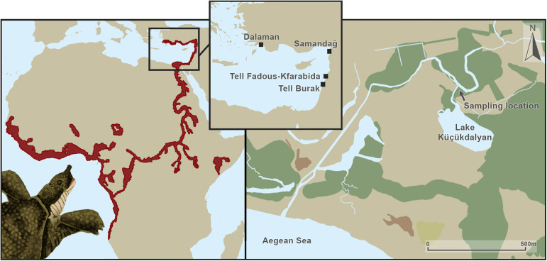 Fig 1