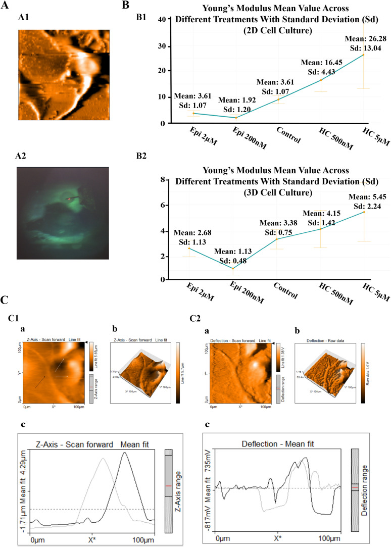 Fig 2