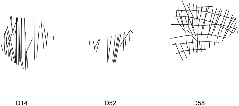 Fig 5