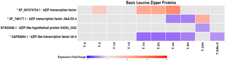 Fig 5
