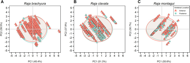 Fig 8