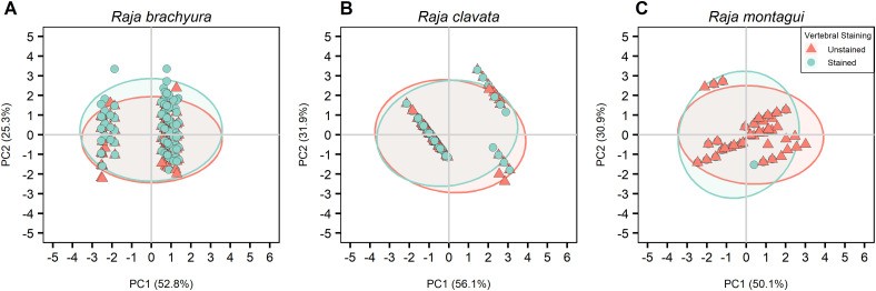 Fig 10