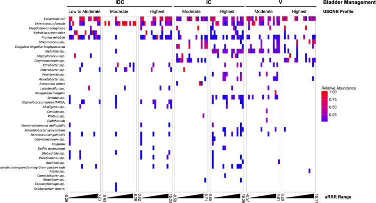 Fig 5