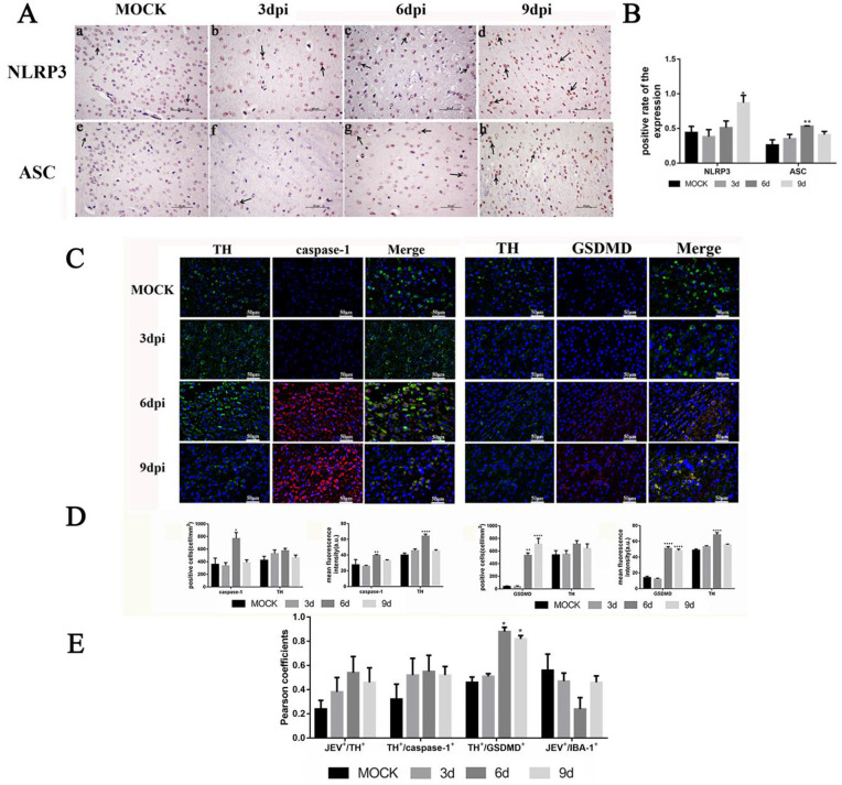 Fig 2
