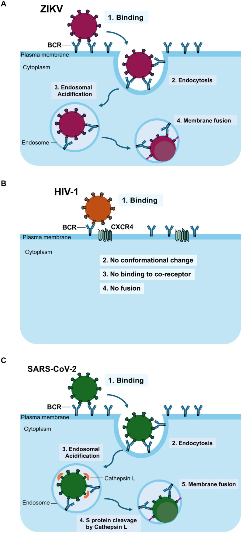 Fig 6