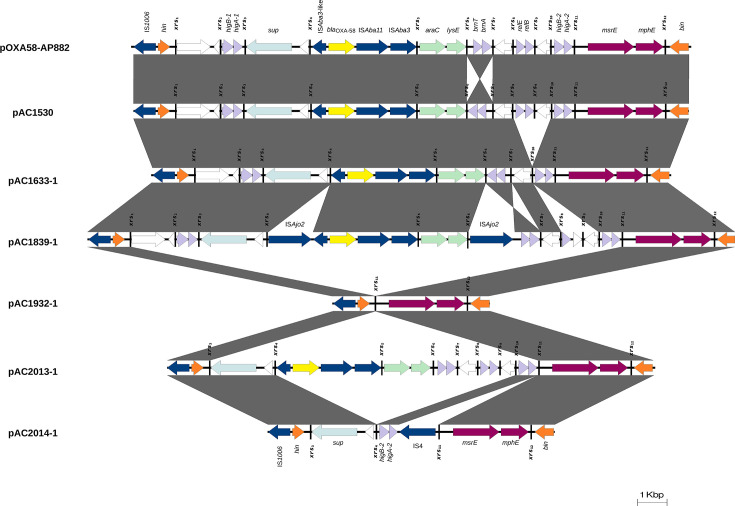 Fig. 4