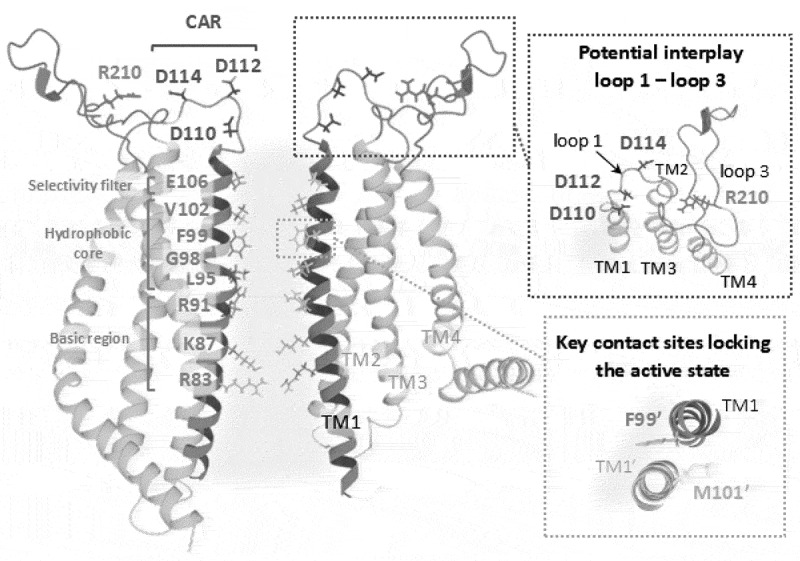 Figure 12