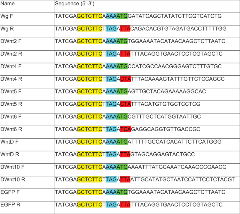 Figure 16