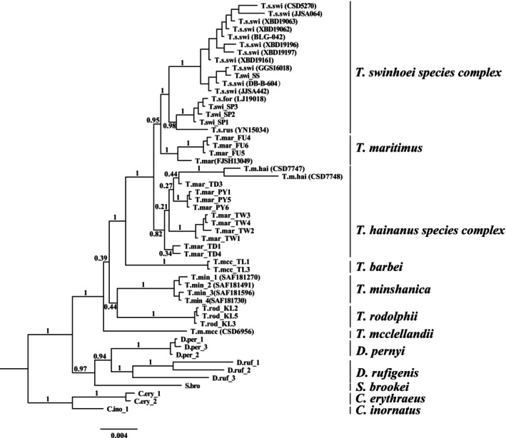 FIGURE 2