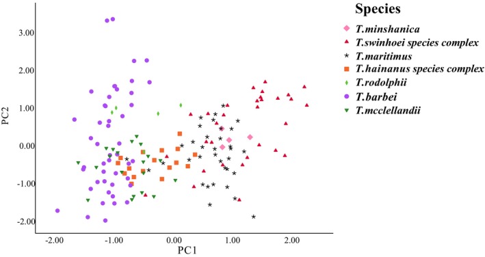 FIGURE 5