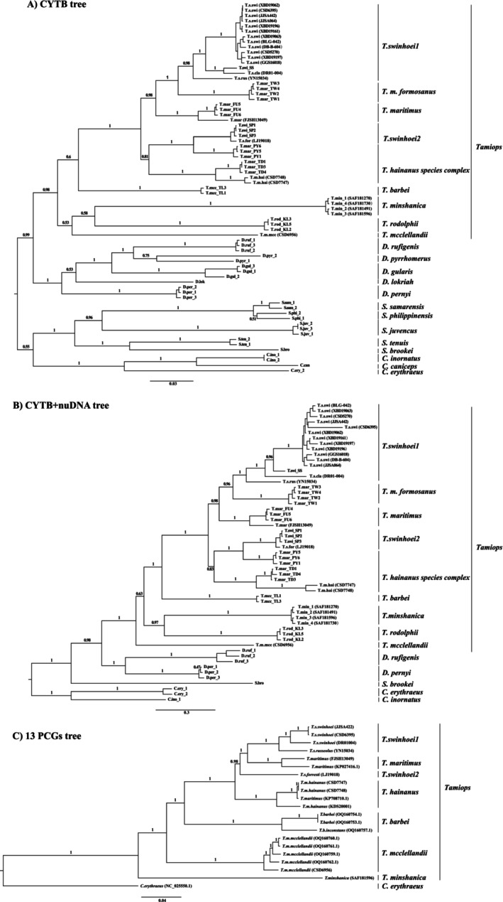 FIGURE 3