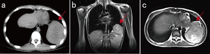 FIGURE 1