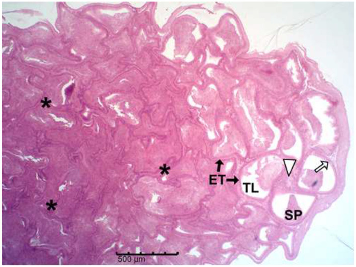 Figure 15