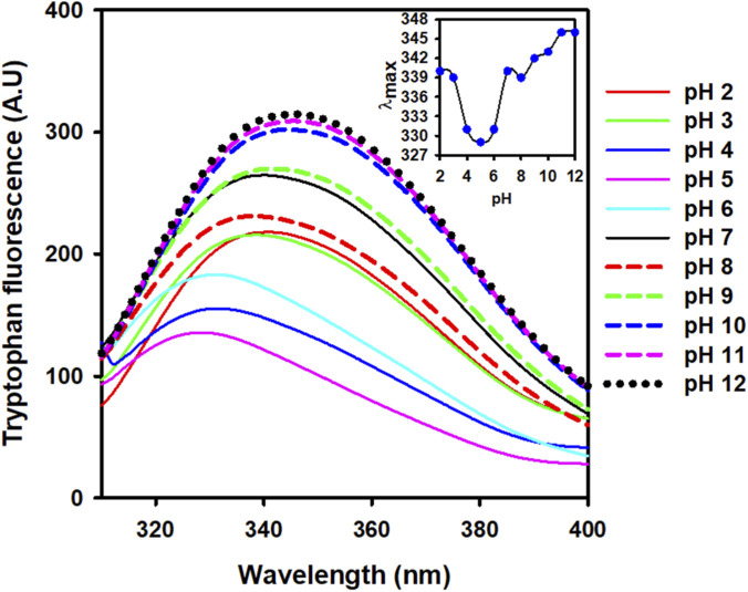 FIGURE 3