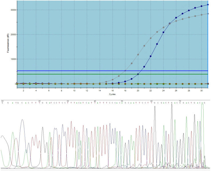 Figure 2