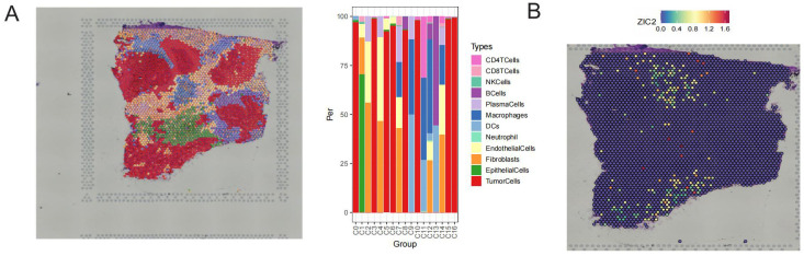 Figure 3