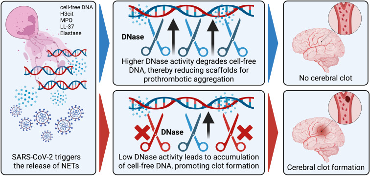 Figure 4