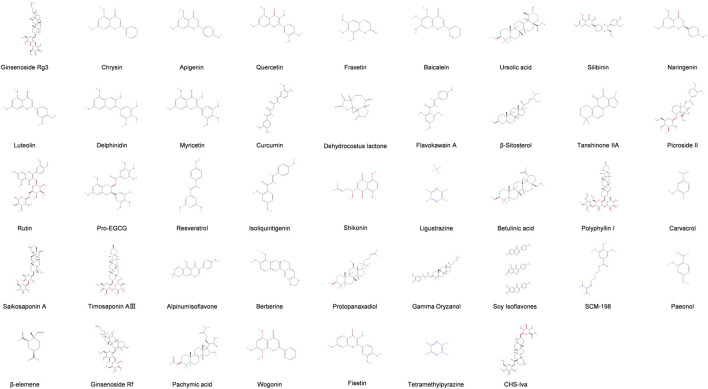 FIGURE 2
