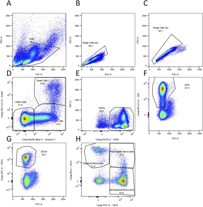 FIGURE 1