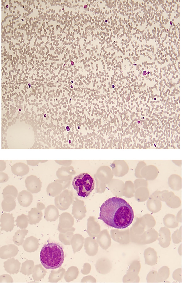 Figure 1