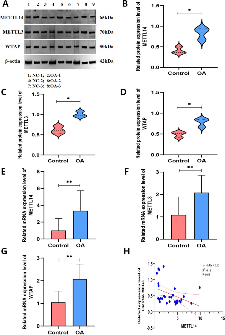 Figure 6