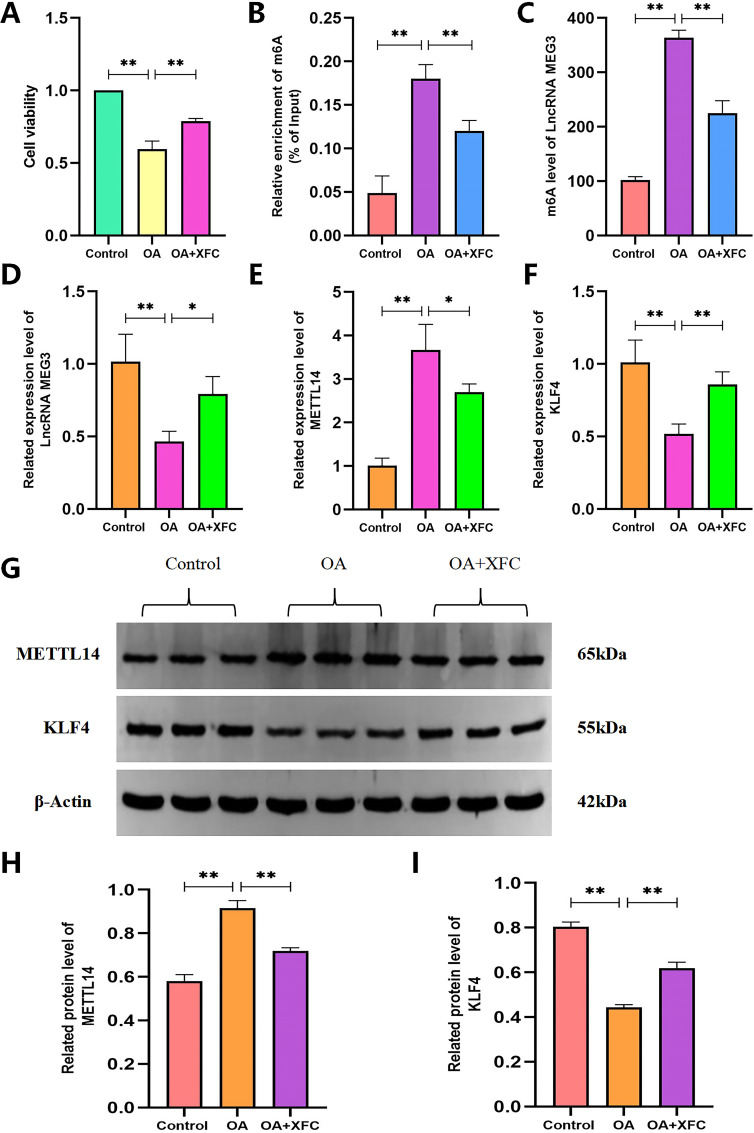 Figure 10