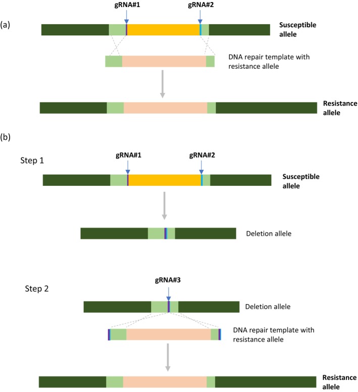 FIGURE 2