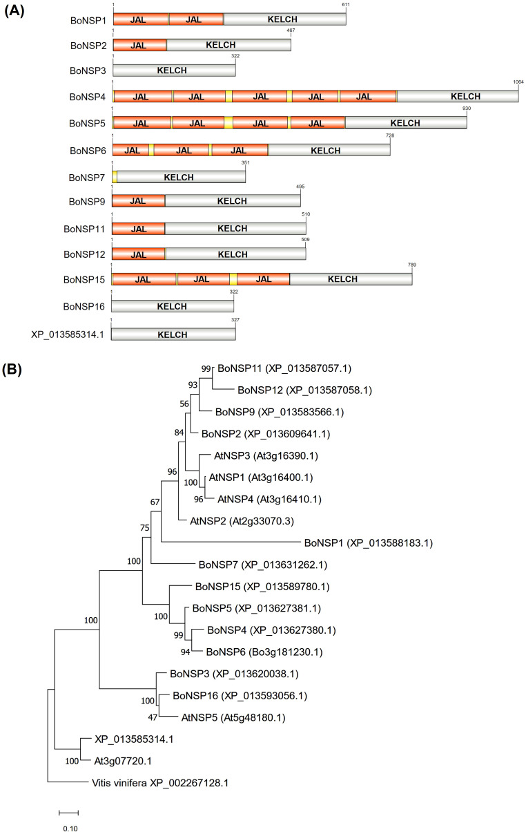 Figure 1
