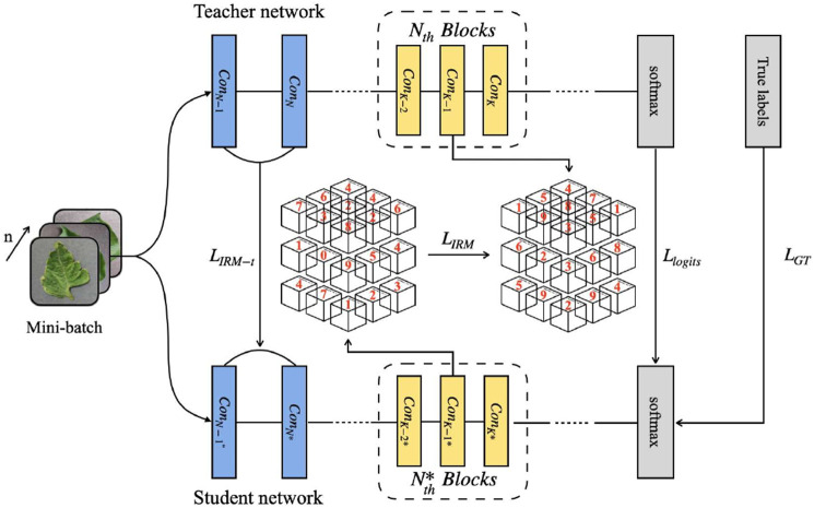 FIGURE 3