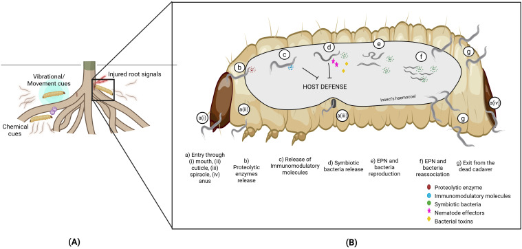 Figure 1