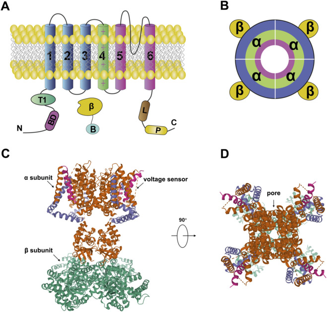 FIGURE 2